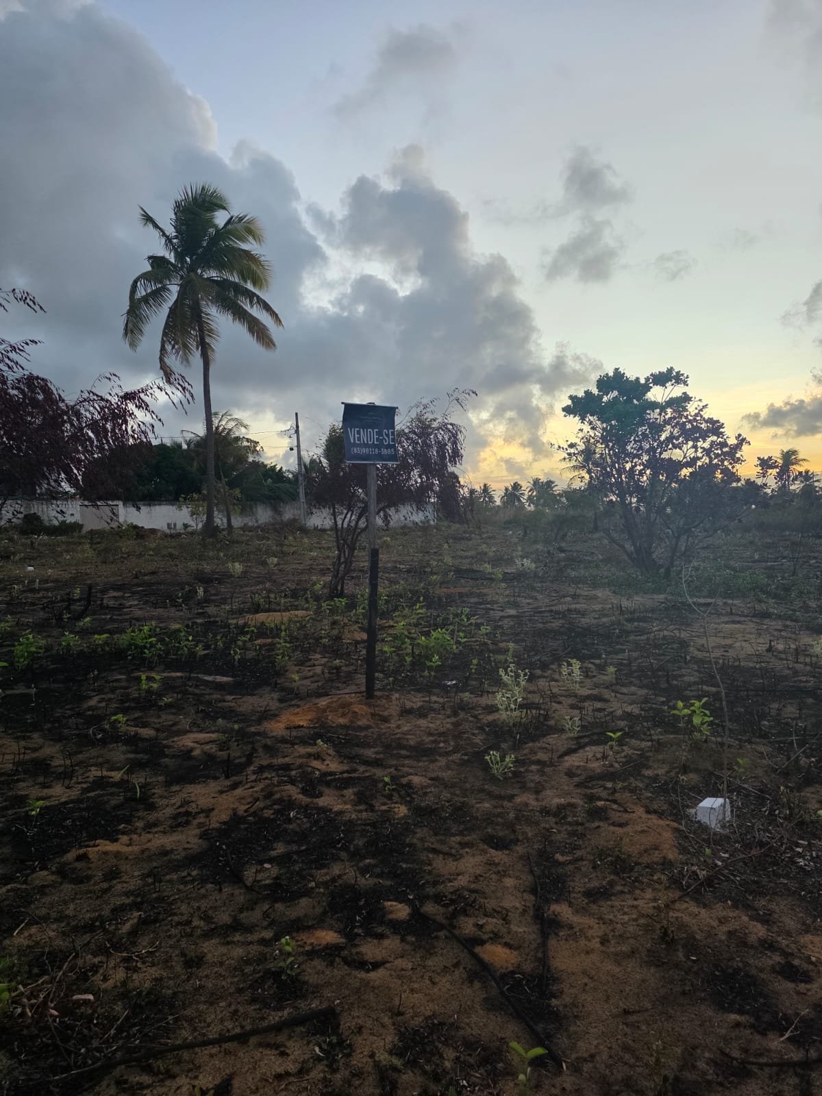Lote 10x20 Jacumã com Agua e Luz